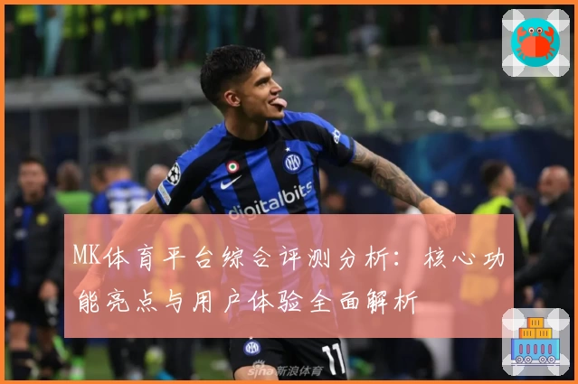 MK体育平台综合评测分析：核心功能亮点与用户体验全面解析