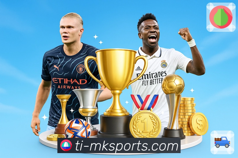 MK体育APP 封面图